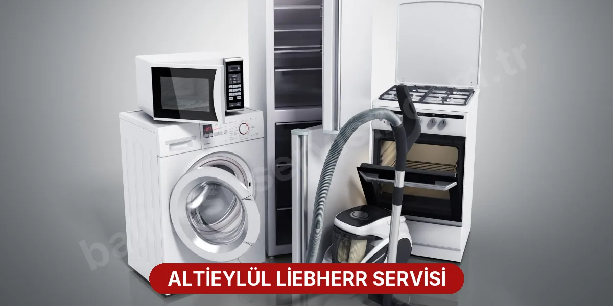 Altieylül Liebherr Servisi
