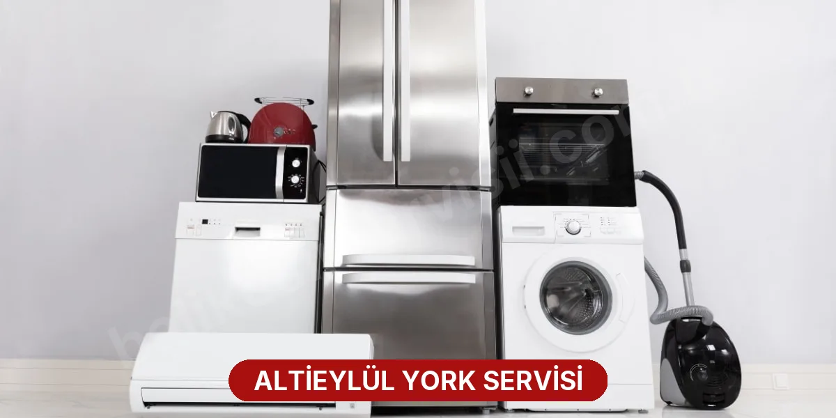 Altieylül York Servisi