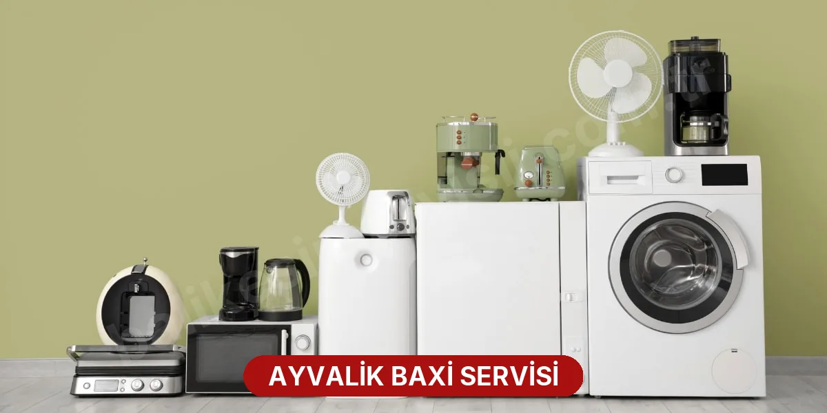 Ayvalik Baxi Servisi