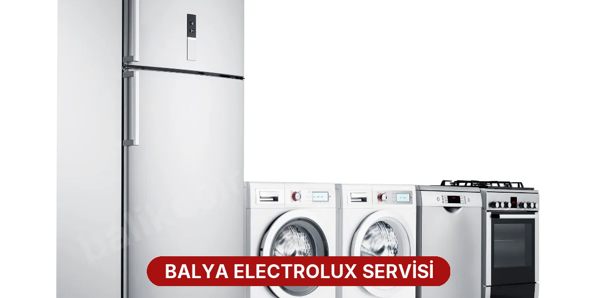 Balya Electrolux Servisi