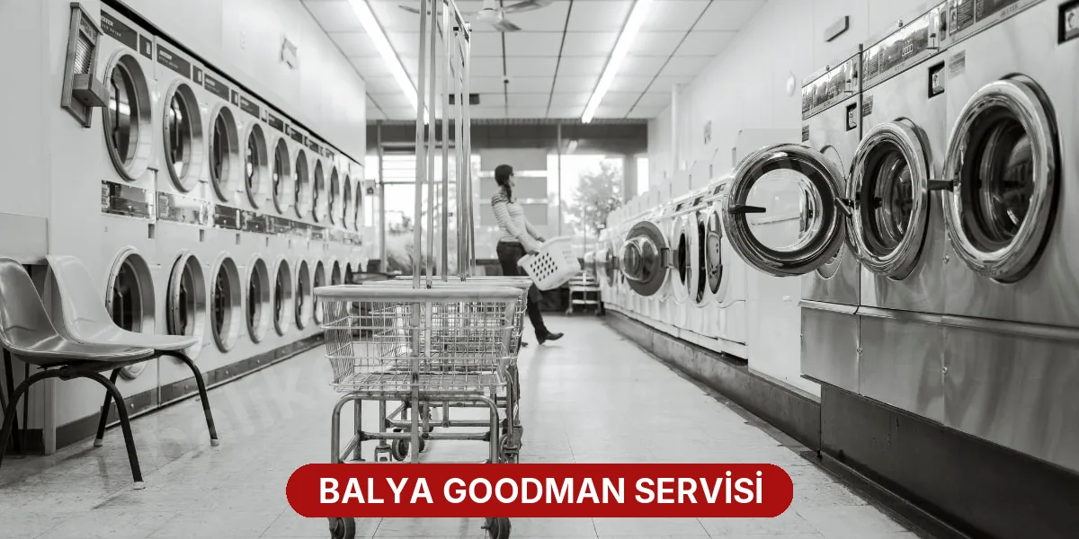 Balya Goodman Servisi