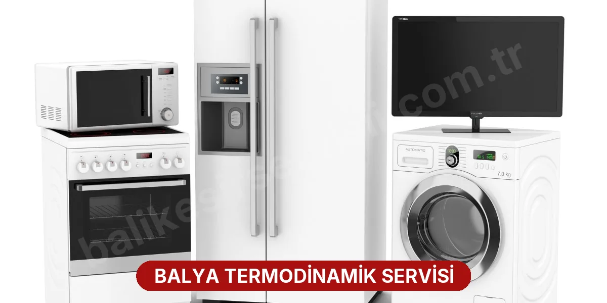 Balya Termodinamik Servisi