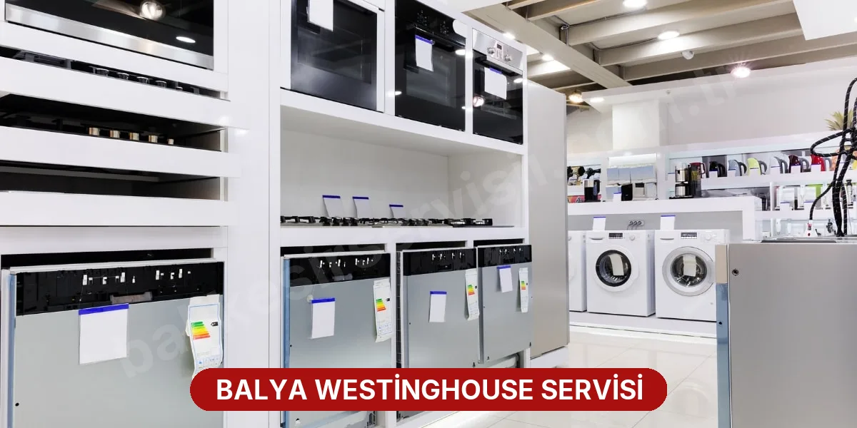 Balya Westinghouse Servisi