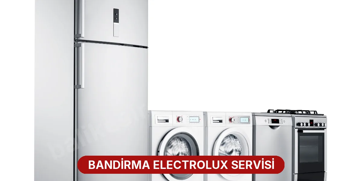Bandirma Electrolux Servisi