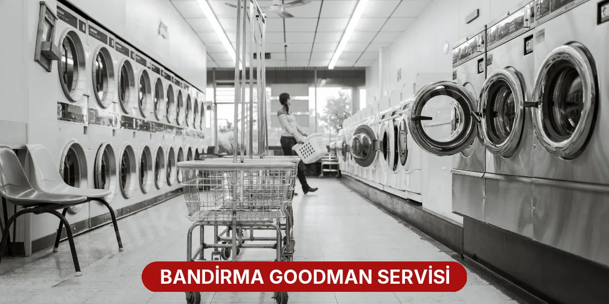Bandirma Goodman Servisi