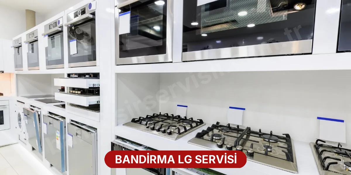 Bandirma LG Servisi