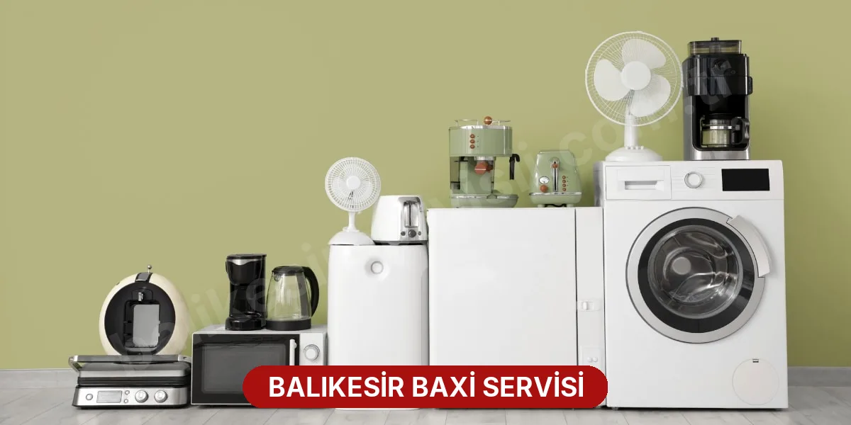 Balıkesir Baxi Servisi