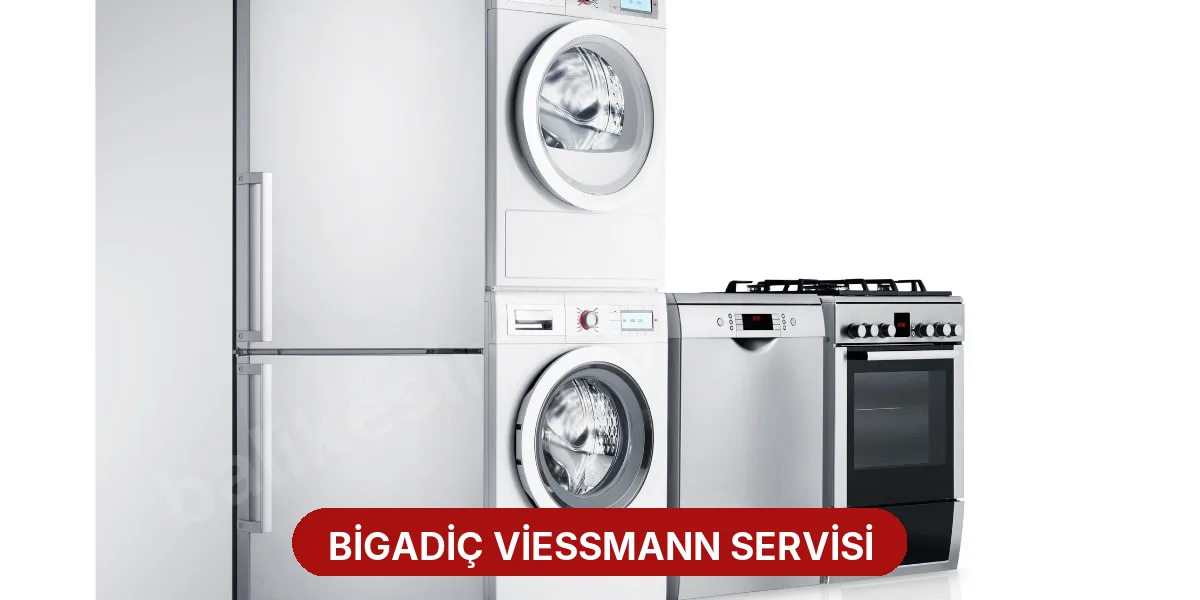 Bigadiç Viessmann Servisi