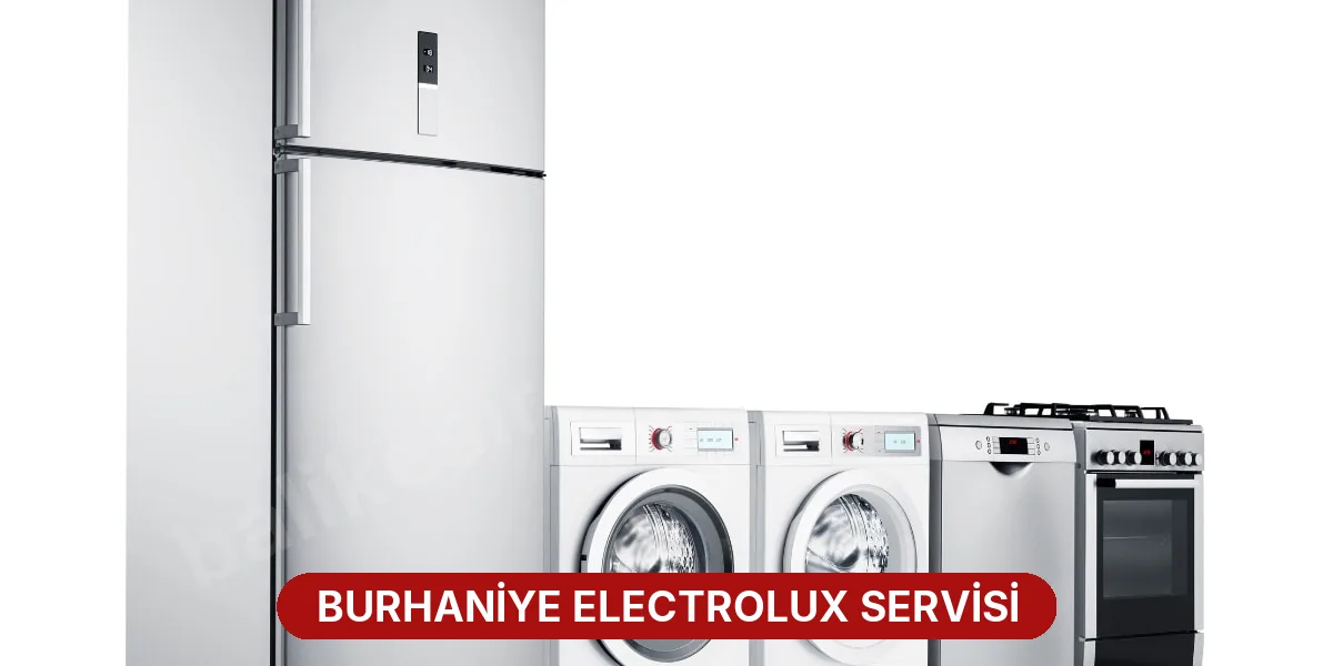 Burhaniye Electrolux Servisi