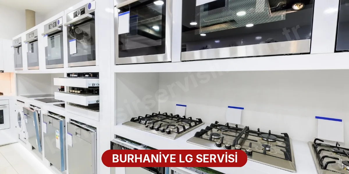 Burhaniye LG Servisi
