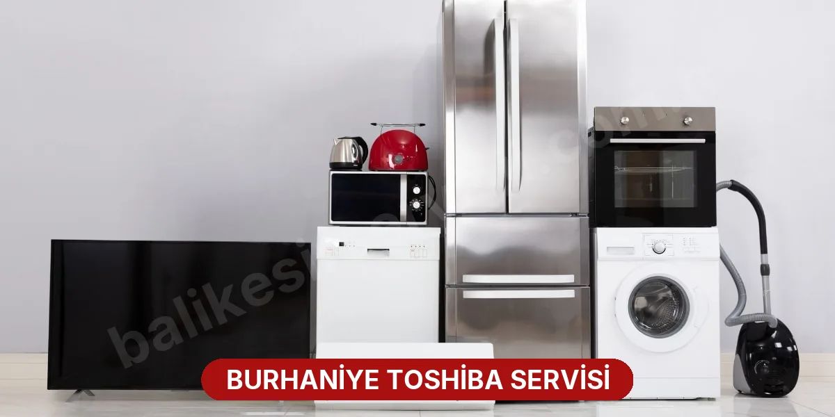 Burhaniye Toshiba Servisi