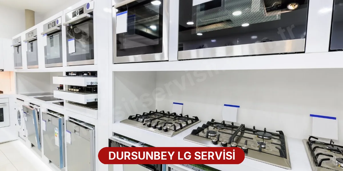 Dursunbey LG Servisi