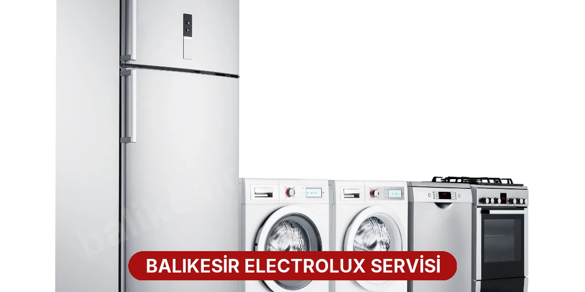 Balıkesir Electrolux Servisi