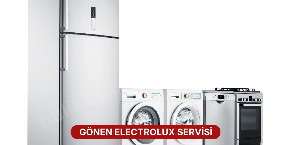 Gönen Electrolux Servisi