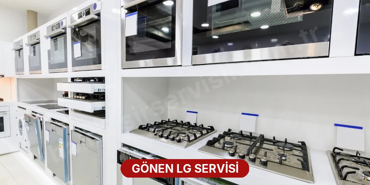 Gönen LG Servisi