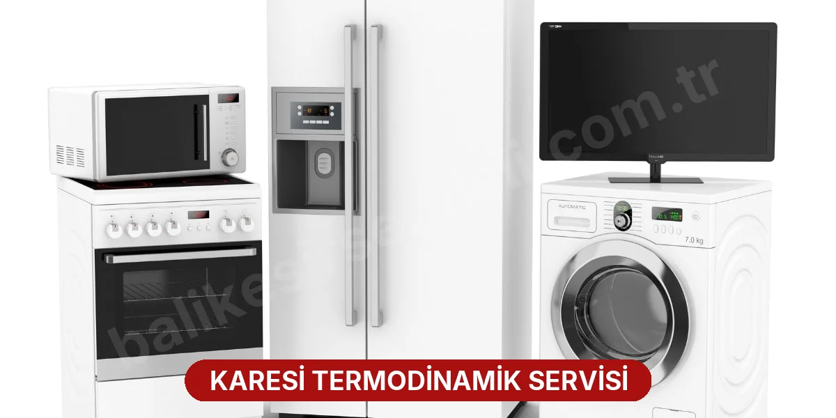 Karesi Termodinamik Servisi