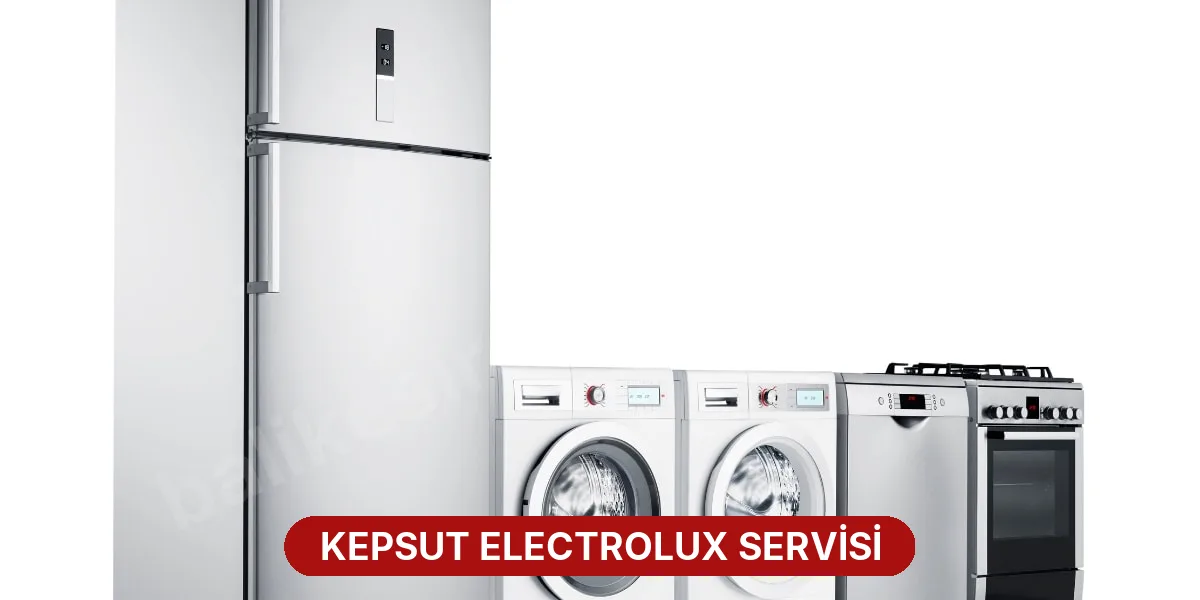 Kepsut Electrolux Servisi