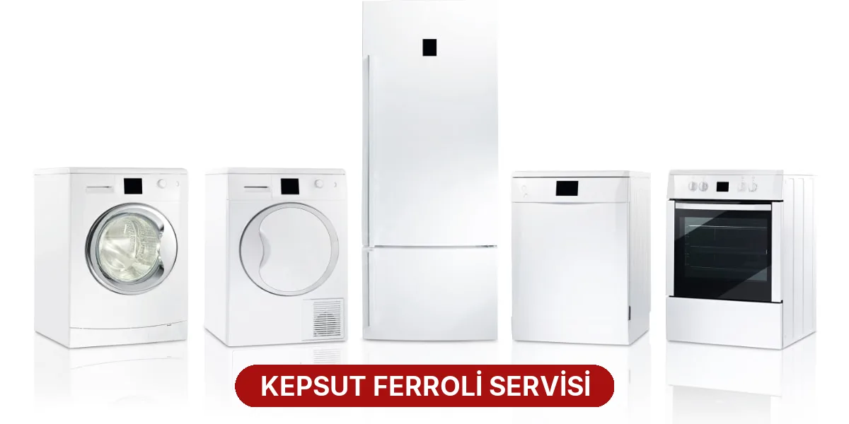 Kepsut Ferroli Servisi
