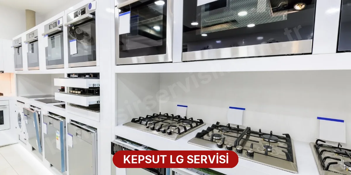 Kepsut LG Servisi