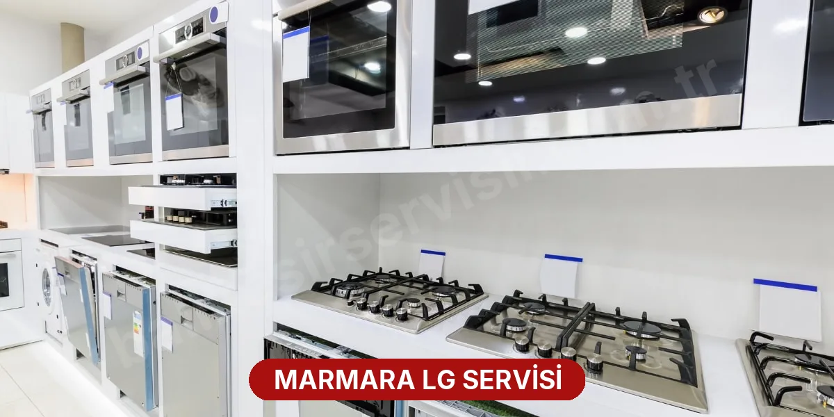 Marmara LG Servisi