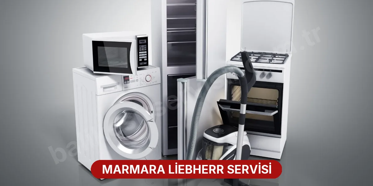 Marmara Liebherr Servisi