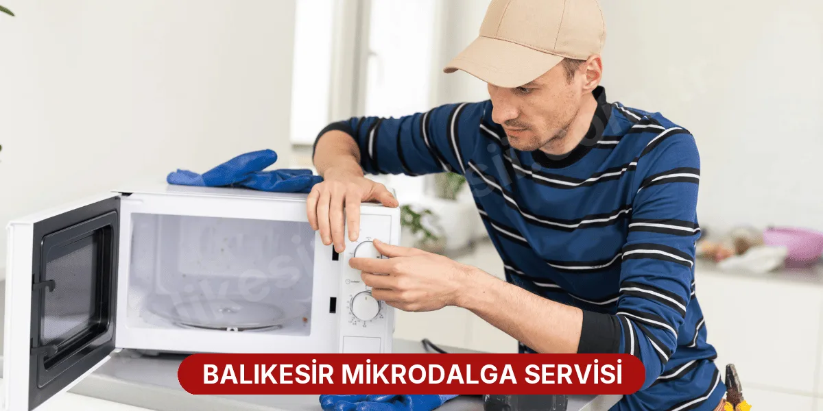 Balıkesir Mikrodalga Servisi