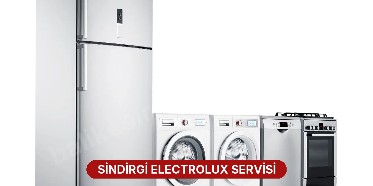 Sindirgi Electrolux Servisi