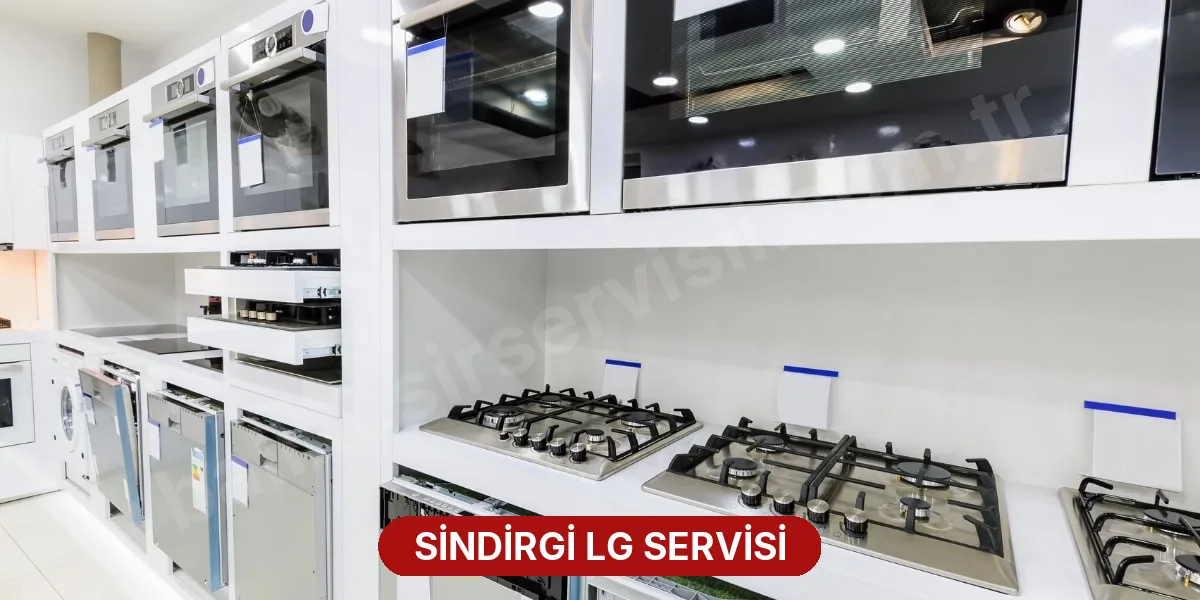 Sindirgi LG Servisi