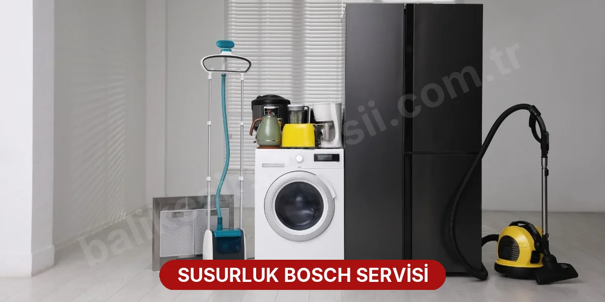 Susurluk Bosch Servisi