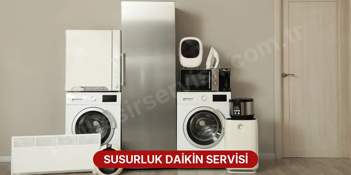 Susurluk Daikin Servisi