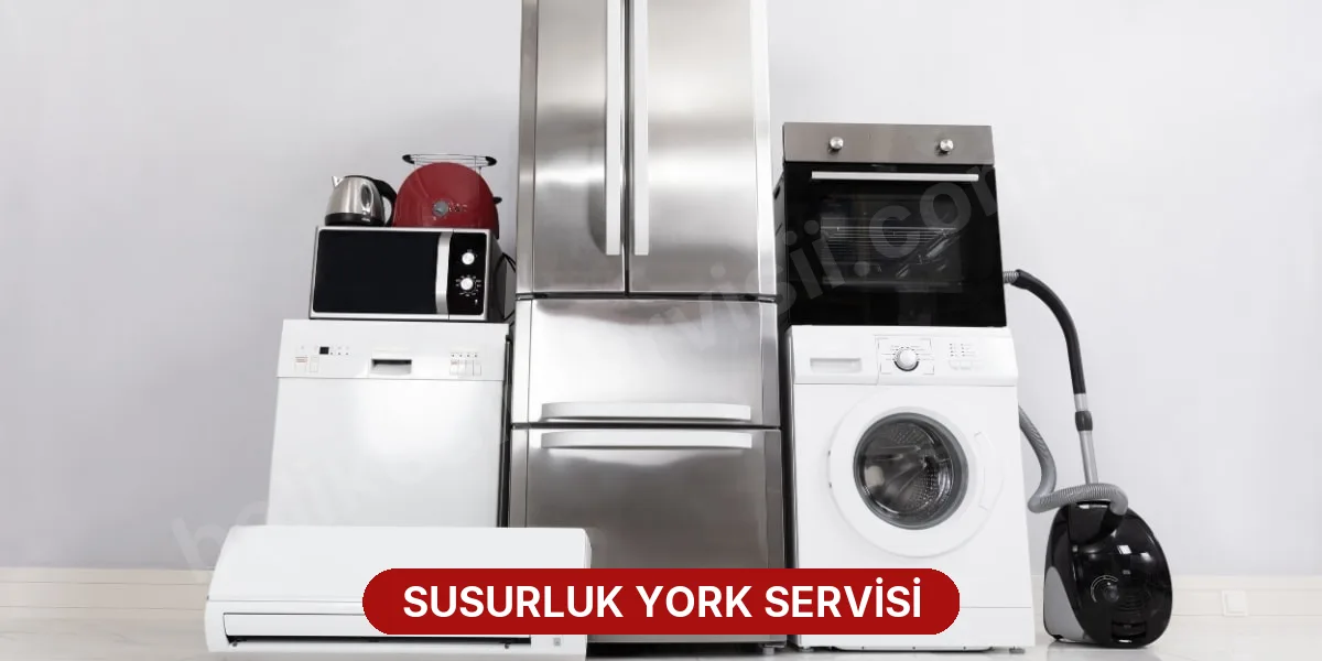 Susurluk York Servisi