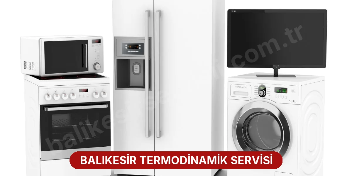 Balıkesir Termodinamik Servisi